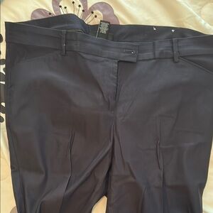 Lane Bryant Blue Straight Leg Pants